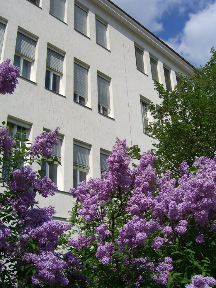 Südseite mit neuen Sonnenschutzelementen